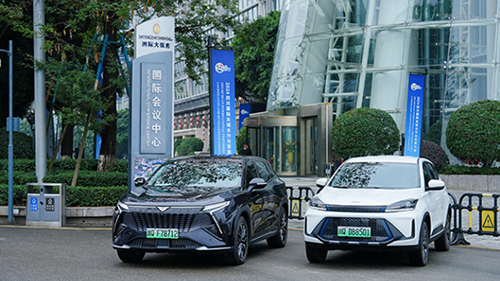 Кайи начинает новую главу глобализации  в Египте