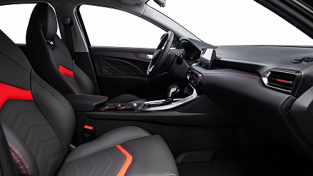 Кожаный салон